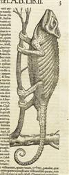 GESNER, CONRAD. Historiae animalium. Vols. 2 and 3 (of 5) bound in one. 1586; 1585